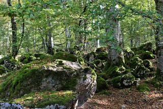 LA FÁBRICA DE LAS SOMBRAS