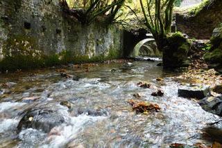 LA FÁBRICA DE LAS SOMBRAS