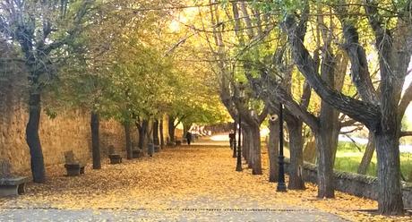 Regreso a Ninguna Parte Alameda de nosédónde en Soria