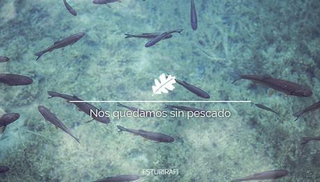 Nos quedamos sin pescado