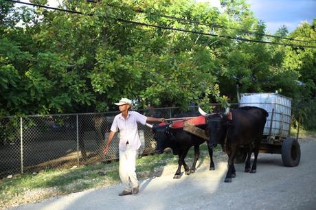 Quebrada Honda IMG_1742