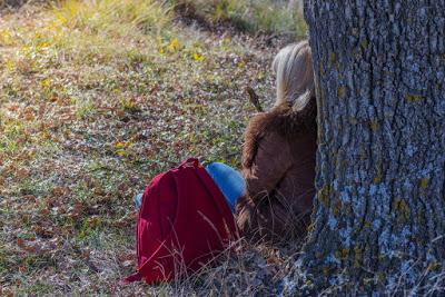 Debo hacer un alto en el camino