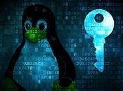 Linux incluirá módulos seguridad Chrome