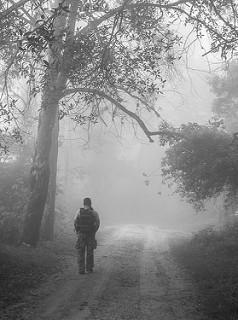 RUTA DEL TREN FANTASMA RUTA DEL TREN FANTASMA