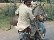 Cosas Solo Puedes Visitas India