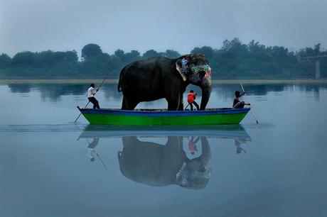 cosas que solo se ven en la India