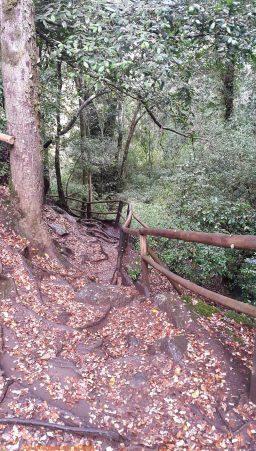 Conociendo la IX Región caminos-ojos-caburga-ixregion