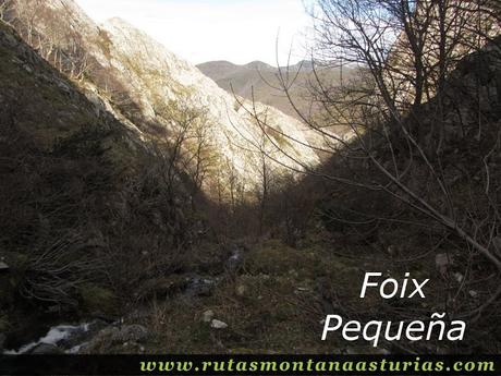 Foix Pequeña