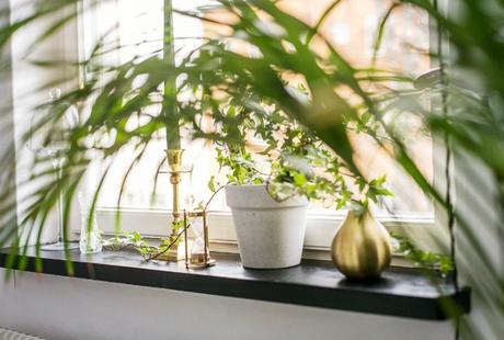 Mini-apartamento con distribución óptima