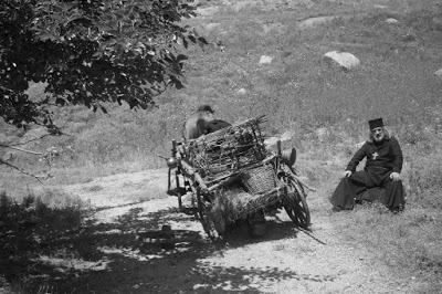 Aferim! [Cine]