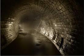 sueño con una cloaca