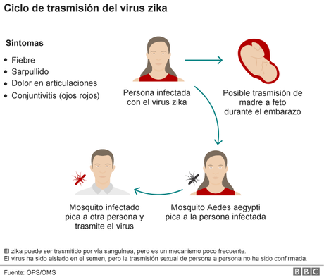 ¿Cuáles son los síntomas del virus zika y qué hacer si lo tienes?