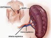 Exceso pensamientos bloquea funcionamiento bazo