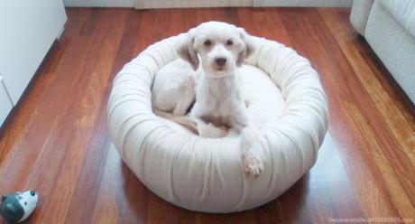 2473.- Reciclar neumáticos