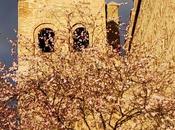 Insigne, ínclita, fuerte