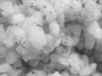 ARROZ CON LECHE SIN LECHE