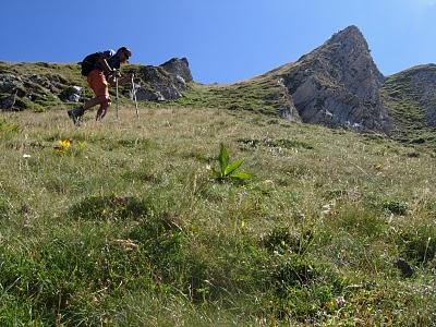 pico del canalon oscuro