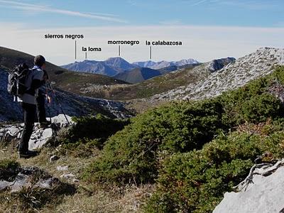 pico sobre el tambarón