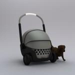 Reinventando el transporte para los propietarios de mascotas ancianos