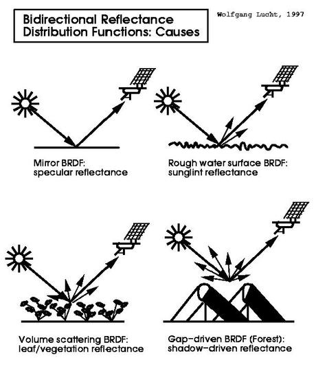Los bosques podrían ser detectables en planetas extrasolares Los bosques podrían ser detectables en planetas extrasolares