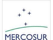 Convocatorias Cooperación Académica Mercosur 2011