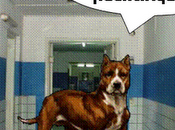 Vigilancia seguridad ESSALUD: ¡pura finta!