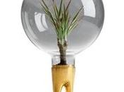 Domsai, terrarios extraterrestres