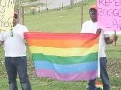 Sobre homofobia Caribe