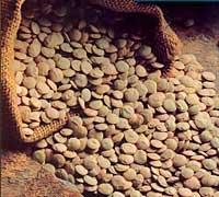 Más lentejas y menos bollería industrial nos ayudan a perder peso