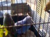 Pues debo haber sido buena suponía...