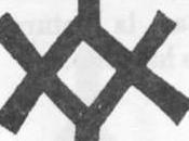 Descenso Nocturno Terencia