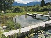 Jardines semi-naturales