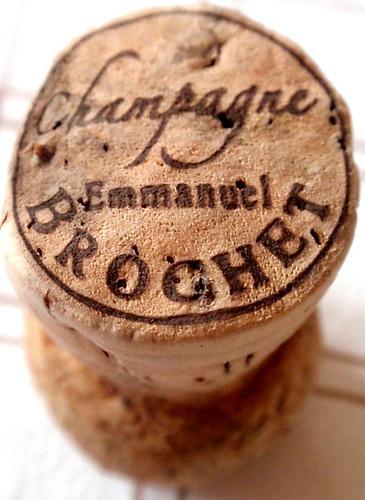 Emmanuel Brochet Le Mont Benoit