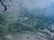 ¿Cómo defender nuestros bosques?