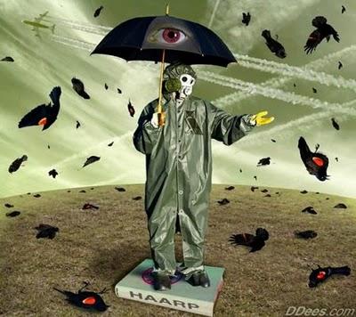 Pájaros muertos, peces muertos... ¿qué está pasando?