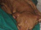 Otra acogida urgente esta Cádiz