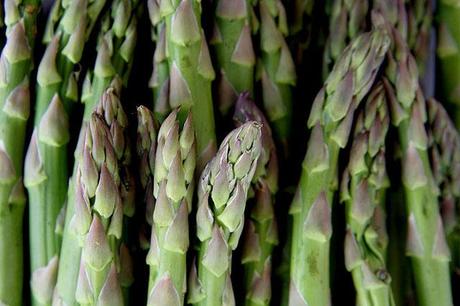 esparragos - Recetas de cocina RECETASonline esparragos - Recetas de cocina RECETASonline