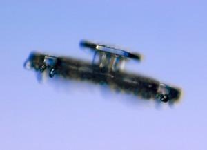 Geometría y Clasificación de los Copos de Nieve