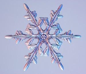 Geometría y Clasificación de los Copos de Nieve