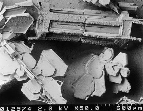Geometría y Clasificación de los Copos de Nieve