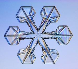 Geometría y Clasificación de los Copos de Nieve