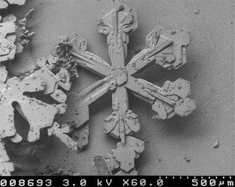 Geometría y Clasificación de los Copos de Nieve