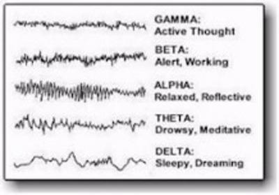 Meditación: Diferentes Técnicas, Diferentes Efectos en el Cerebro.