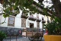 Tenerife. La Orotava, El Teide, Güimar, Candelaria Tenerife. La Orotava, El Teide, Güimar, Candelaria