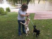 Historias adoptados. Taska