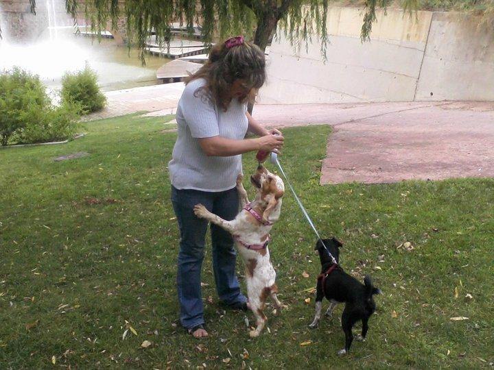 Historias de adoptados. Taska