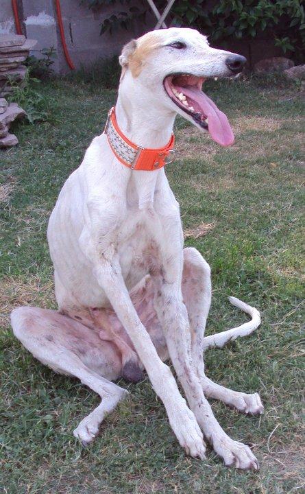 Ay Jonas! mira que eres guapo 