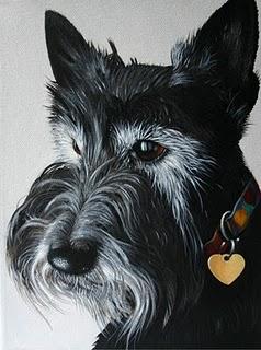 SCOTTISH-TERRIER