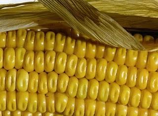 ECONOMÍA Y SOSTENIBILIDAD