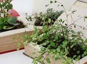 Hacer maceteros libros antiguos